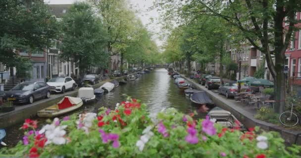 Sadzarka Amsterdam Kwiatami Moście Kanałowym Poruszający Się Strzał Gimbal — Wideo stockowe