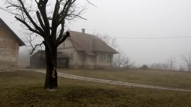 Старые Жуткие Дома Стоящие Тумане Медленное Движение Грузовиков — стоковое видео