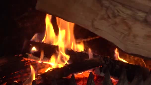 Adicionando Lenha Para Fogo Uma Noite Fria Inverno Fechar — Vídeo de Stock