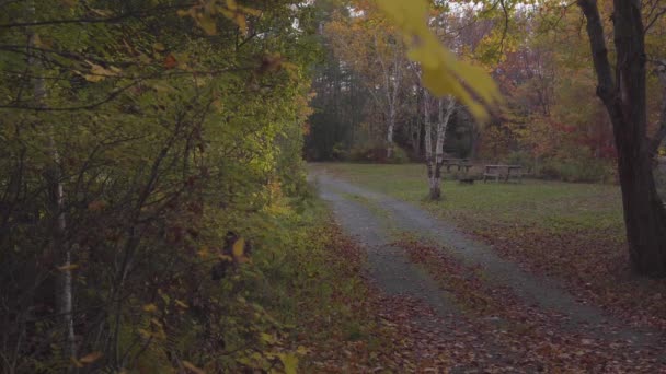 야영장 지대에서 때쯤에는 소풍용 탁자가 있었다 가을의 과바람에 날리는 나뭇잎은 — 비디오