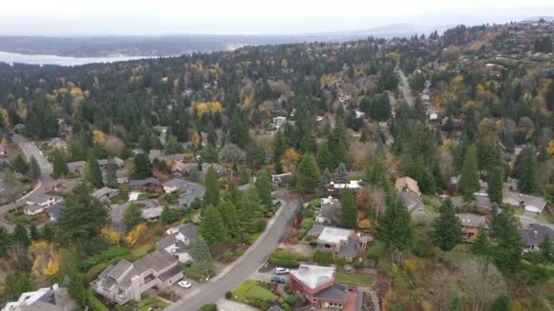 Cinematic Antenne Drone Skud Bjergskråning Boligområder Somerset Olympic Ridge Forest – Stock-video