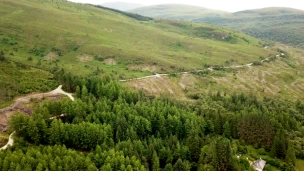 スコットランドの丘の中腹に森 前方に空中傾斜 — ストック動画