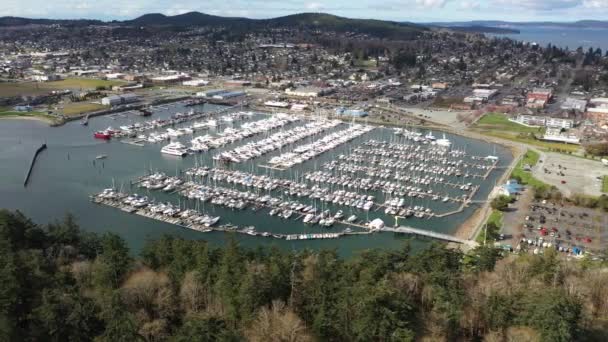 Cinematic Luchtfoto Drone Trucking Shot Van Anacortes Waterfront Cap Sante — Stockvideo