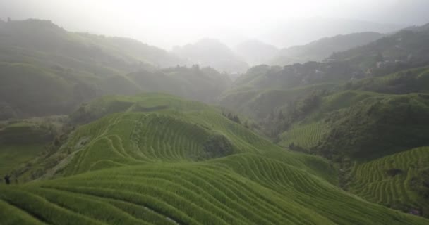 广西大寨空中景观绿稻梯田 一个雾蒙蒙的早晨 — 图库视频影像