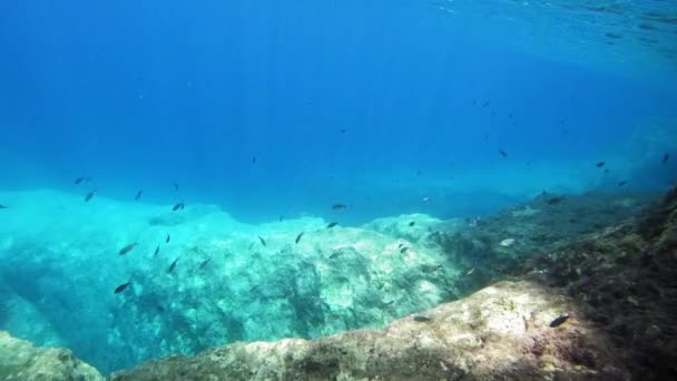 Scéna Pod Mořem Ostrova Kefalonia Drsnou Krajinou Jónském Moři Řecko — Stock video