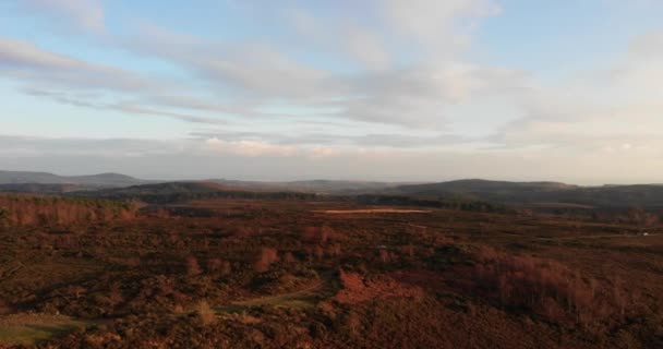 Luchtfoto Boven Autumnal Woodbury Common Heathland Badend Middagzon Voetstuk Omhoog — Stockvideo