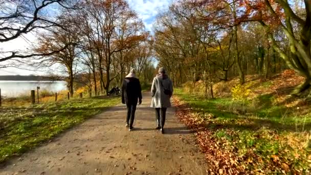 Rallentatore Coppia Alla Moda Passeggiando Sul Sentiero Rurale Lungo Lago — Video Stock