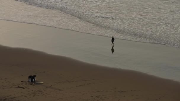 サンセット時に穏やかな波が吹く海岸線を歩く人 ワイドショット — ストック動画