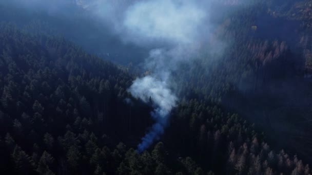 Oduncunun Odun Yaktığı Bir Orman Manzarası Dağda Dumanla Ateş Yakıyor — Stok video