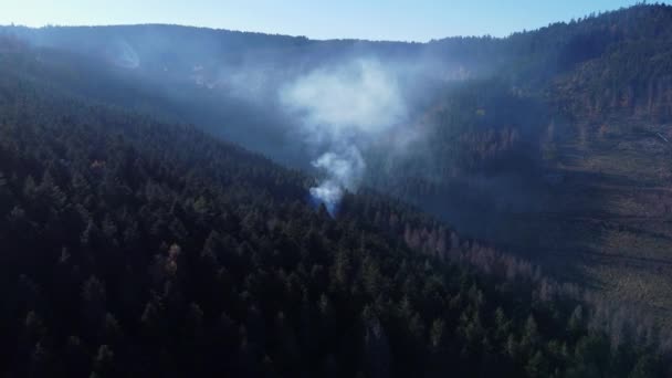 Luftaufnahme Eines Waldgebietes Mit Holzfällern Die Holz Verbrennen Und Berg — Stockvideo