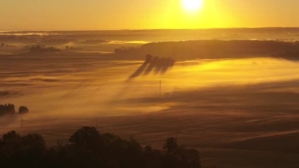 Drone Vue Aérienne Matin Automne Brumeux Comté Kaunas Lituanie — Video