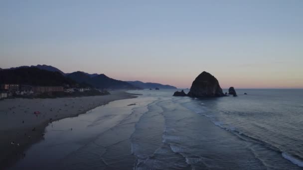 波やビーチを背景に石で見下ろすビーチを飛んで — ストック動画