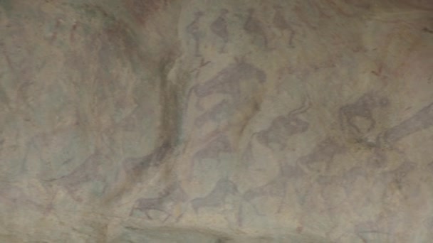 Zbliżenie Starożytnych Obrazów Skalnych Ludzi Krów Owiec — Wideo stockowe