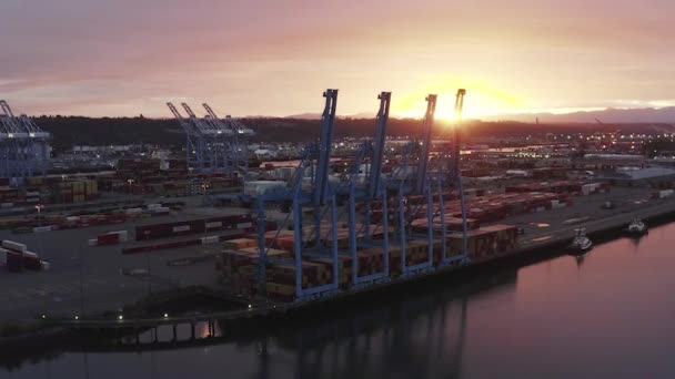 ワシントン州タコマ港で日の出中のコンテナクレーンで見る 空中ドローン撮影 — ストック動画