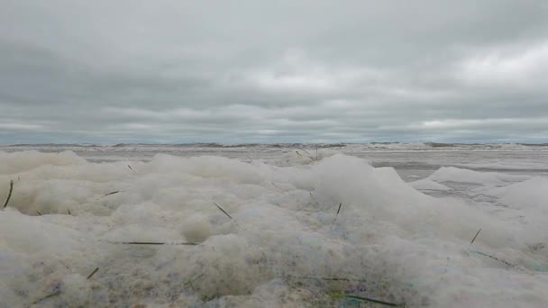 Havsskum Som Blåser Vinden Med Mås Som Flyger Förbi Efter — Stockvideo