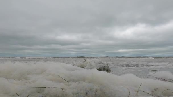 Schiuma Mare Che Soffia Nel Vento Dopo Una Tempesta Clearwater — Video Stock