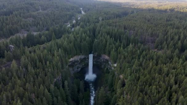 Letecký Pohled Brandywine Falls Padající Obřího Útesu Borový Les Kolem — Stock video