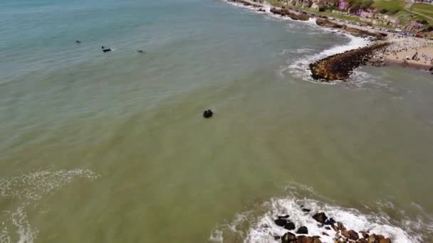 夏季飞往马德普拉塔海岸的黑色充气船的空中跟踪拍摄 — 图库视频影像