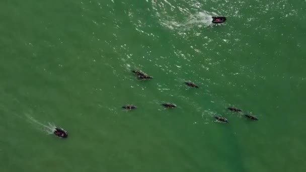 Tiro Aéreo Cima Para Baixo Vários Barcos Remo Com Atletas — Vídeo de Stock