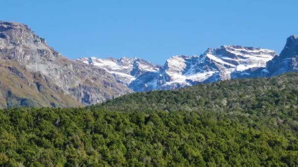 Panorama Záběr Hustého Zeleného Lesa Zasněžených Hor Proti Modré Obloze — Stock video