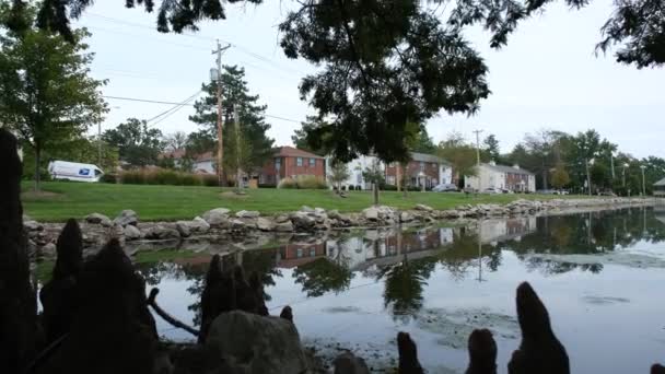 明尼苏达州圣路易斯布伦特伍德森林池塘180度平底锅 — 图库视频影像