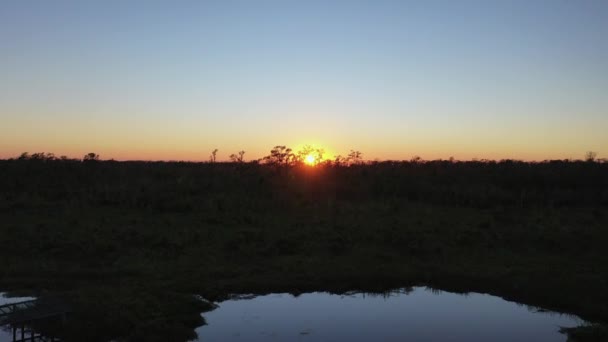 Puesta Sol Sobre Parque Estatal Mandalay Cerca Houma Louisiana — Vídeos de Stock