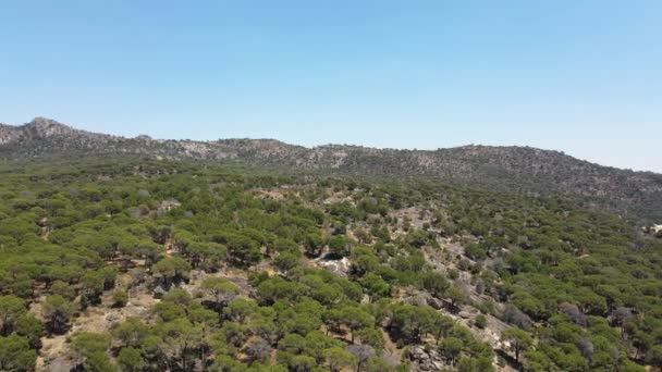 Panoramisch Uitzicht Boven Groen Bos Bij Een Bergmeer Langzame Drone — Stockvideo