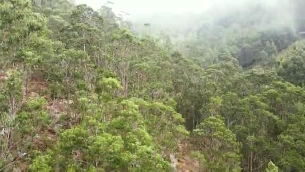 Tiro Aéreo Lento Ascendente Sobre Una Hermosa Montaña Con Bosque — Vídeo de stock