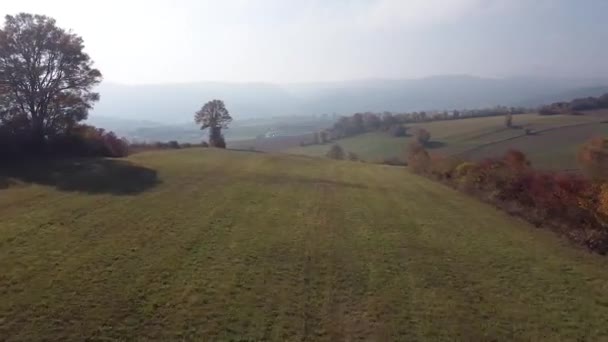 Snelle Drone Vlucht Velden Mist Herfst Sfeer — Stockvideo