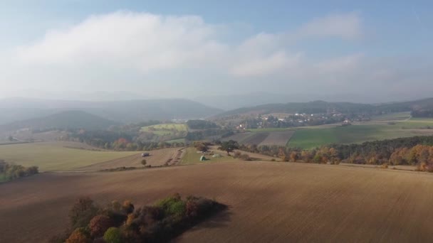 Drone Vliegt Hoog Het Veld Mist Herfstbos — Stockvideo