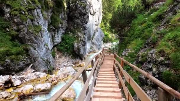 オーストリアの美しいシルバークラムの滑らかな映像 渓谷と川には木製の階段が見えます — ストック動画