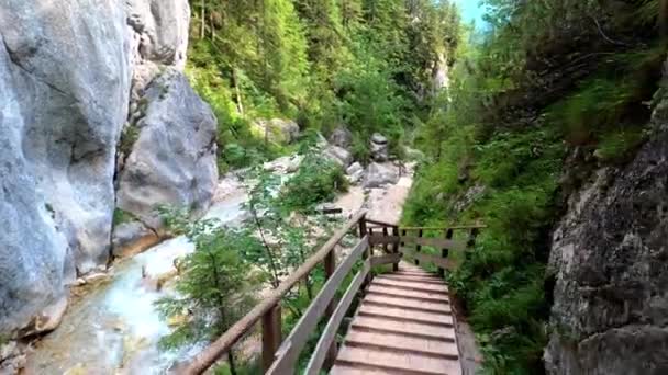 美しい渓谷の木製の階段を歩いて誰かのPovショット 階段の横にある野生の川です — ストック動画
