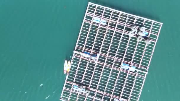 Top View Floating Mussel Platform Called Bateas Mussel Farming Blue — Stock Video