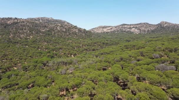 Drone Aérien Survolant Une Belle Forêt Verdoyante Entre Les Montagnes — Video