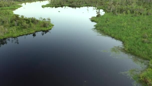 Zmierzch Nad Stanowym Parkiem Mandalay Pobliżu Houma Louisiana — Wideo stockowe
