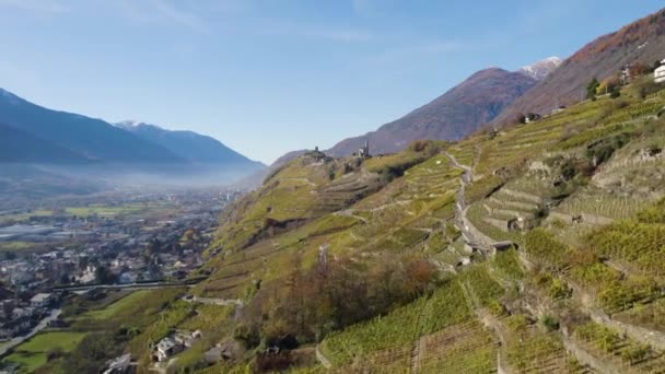 Flygfoto Över Kullar Berg Terrasser Vingårdar Norditalien — Stockvideo