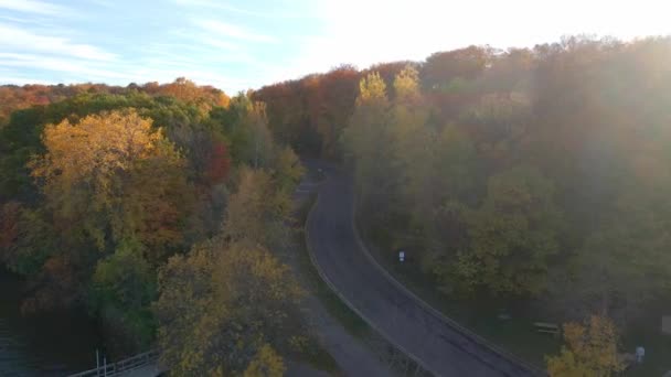 弯道被黄叶环绕 五彩缤纷的山水中的秋天色彩 — 图库视频影像