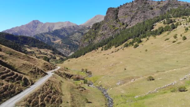 Antenne Tal Mit Einem Kleinen Fluss Den Pyrenäen — Stockvideo
