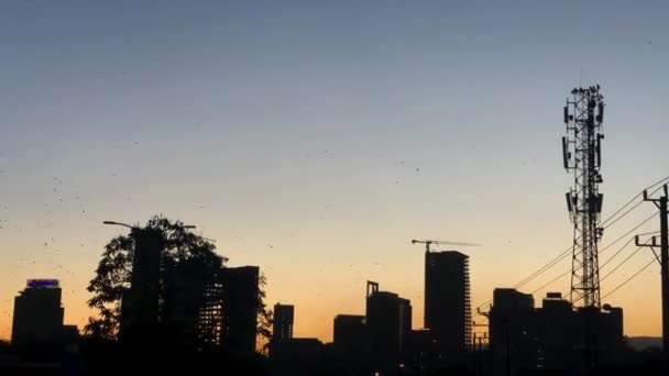 鳥がダウンタウンの大きな建物の上を飛んでいる — ストック動画