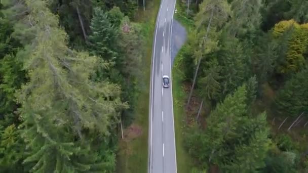 在瑞士的森林里 俯瞰公路上的一辆电子汽车的无人驾驶飞机图像 — 图库视频影像