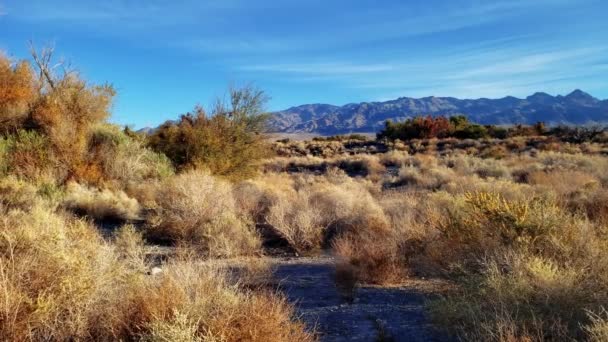 Camino Diríjase Corn Creek — Vídeos de Stock