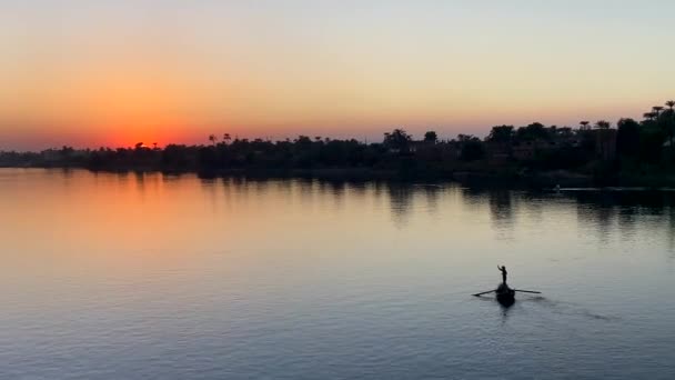 Scenic Footage Man Rowing Boat Middle Waters Nile River Beautiful — Stock Video