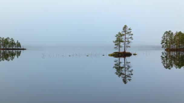 Brouillard Formant Passant Dessus Surface Vitreuse Lac Mettant Accent Sur — Video