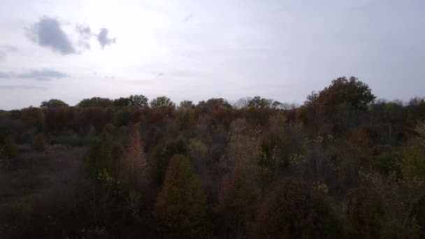 Вид Воздушного Беспилотника Осенью Над Сельским Лесом Прерий — стоковое видео