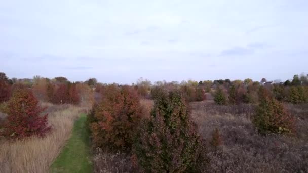 Vista Aérea Drone Ascensão Sobre Campos Rurais Pradaria Outono Enquanto — Vídeo de Stock