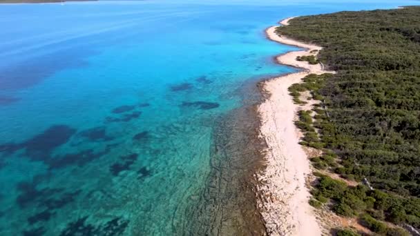 Lunga Spaziosa Spiaggia Con Mare Limpido Sull Isola Silba Croazia — Video Stock