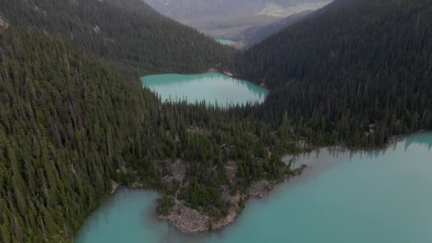 空中拍摄的湖水形成于山脚下 绿松石色的水来自周围茂密的森林 背景是白雪覆盖的高山 — 图库视频影像