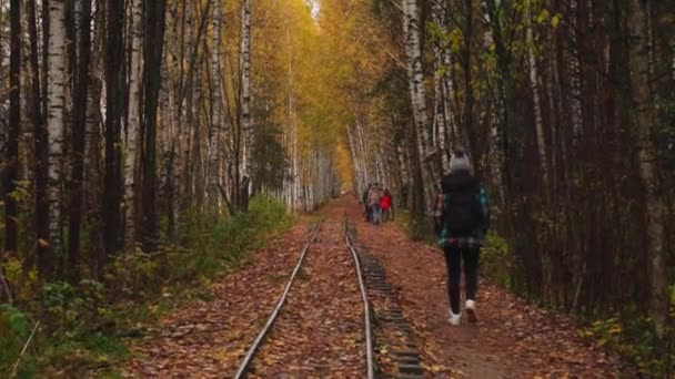 Μια Μοναχική Γυναίκα Περπατά Κατά Μήκος Ενός Στενού Σιδηροδρόμου Στο — Αρχείο Βίντεο