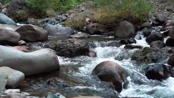 Agua Que Fluye Por Arroyo Entre Grandes Rocas Rocas Redondas — Vídeos de Stock