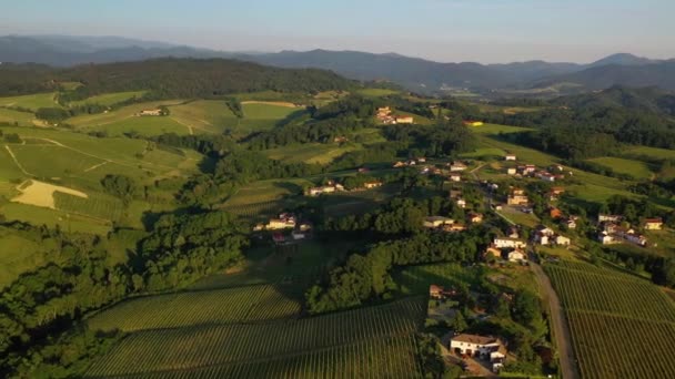 イタリアの田舎の日当たりの良い農地やワイナリーの上空からの眺め ドローンショット — ストック動画